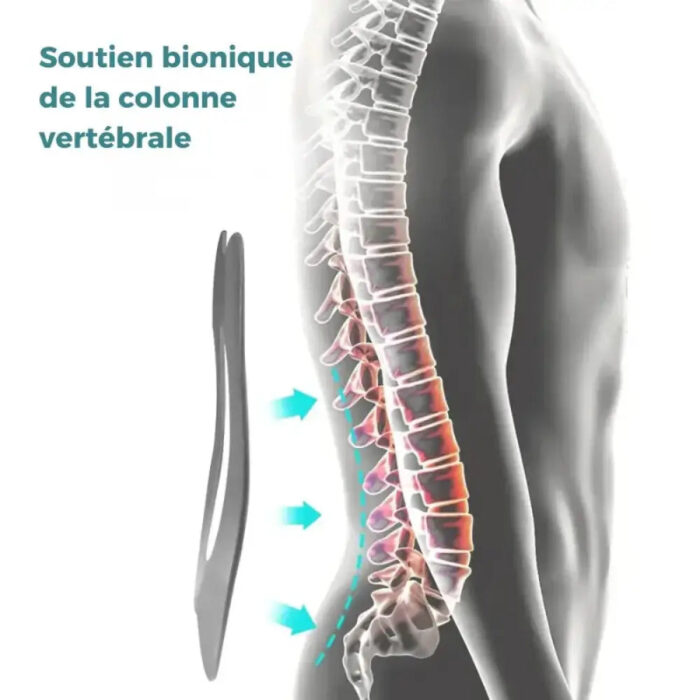 Confort ceinture lombaire