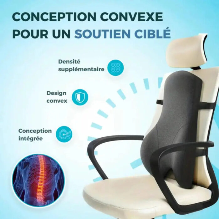 coussin mémoire de forme lombaire