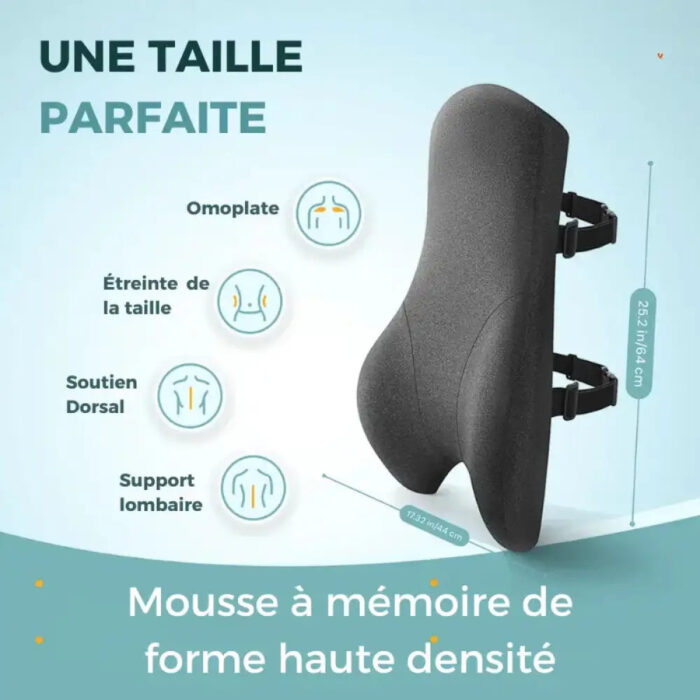 accessoire bureau confort lombaire