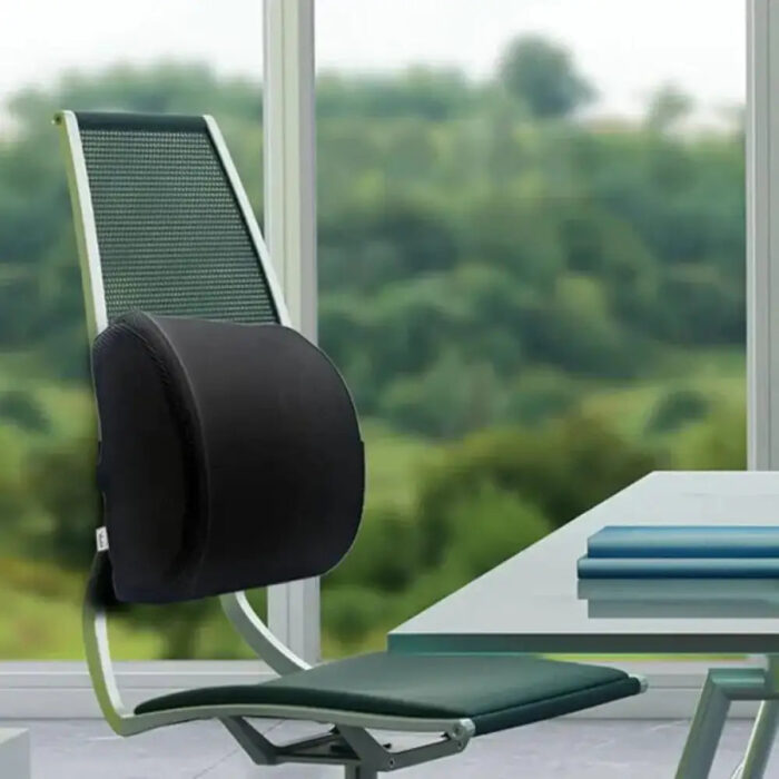 Support dorsal ergonomique