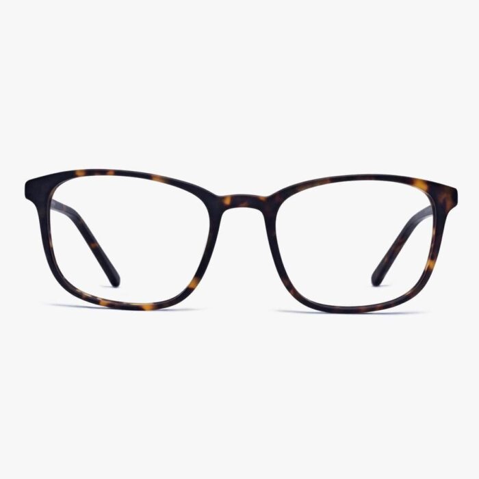 lunettes Men's Ebeltoft Dark Turtle