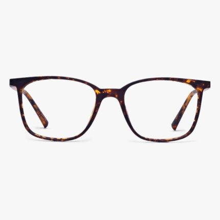 lunettes Men's Fyn Turtle