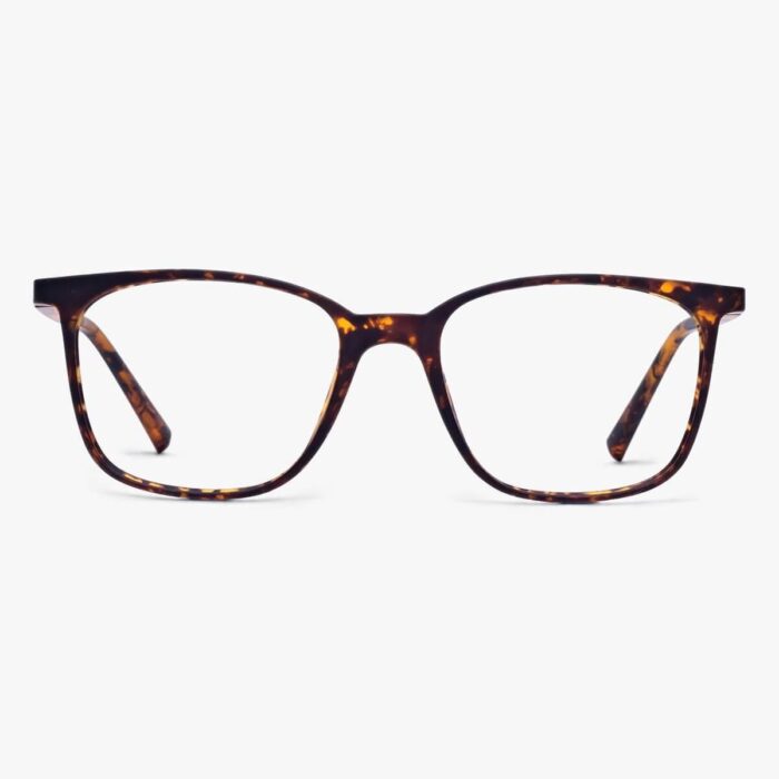 lunettes Men's Fyn Turtle