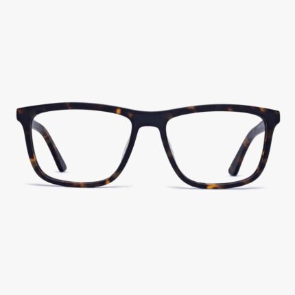 lunettes Men's Oslo Dark Turtle